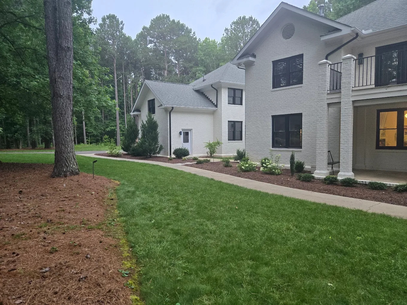 Lawn shape-up and side planting project in Carrboro